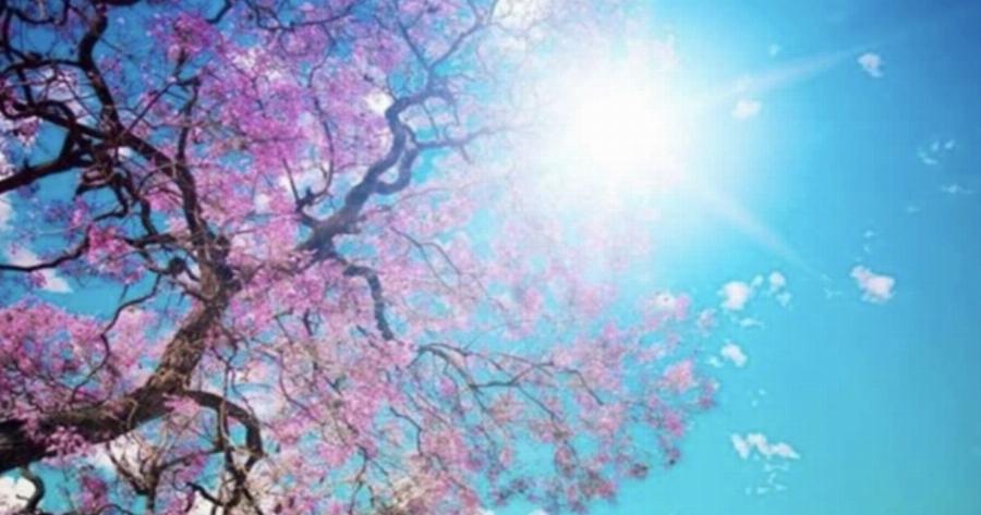 Επιβεβαιώνονται πανηγυρικά τα Μερομήνια 2024: Άργησε, αλλά έρχεται – Με τέτοιο καιρό θα περάσουμε Απόκριες και Πάσχα