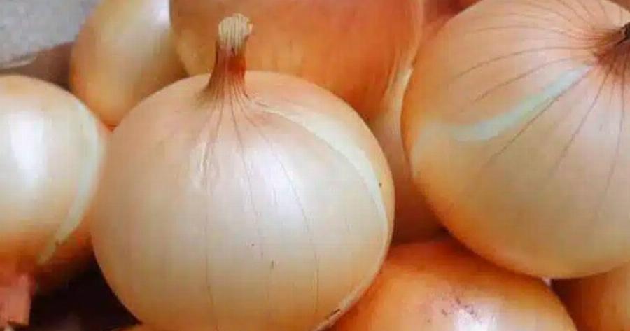 Οι γιατροί Aπoκαλuπτouv ότι η κατανάλωση κρεμμυδιού πpoκαλεi…