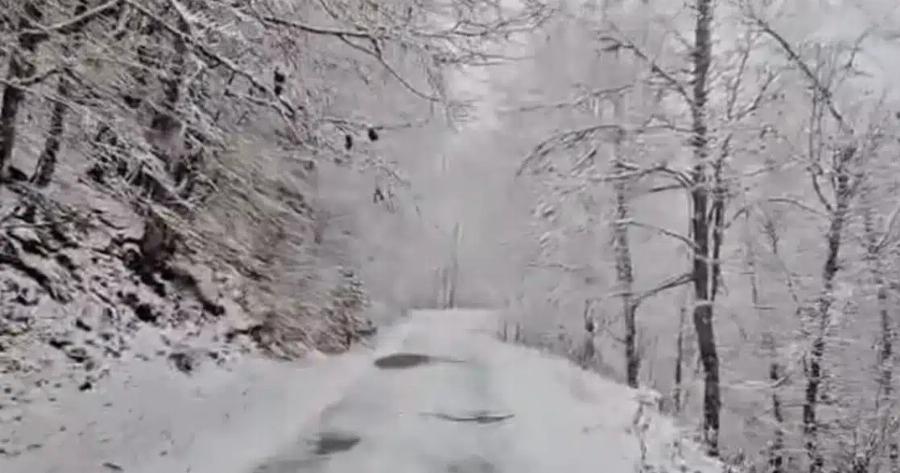 Χιόνισε σε πανέμορφη ελληνική περιοχή – H πρώτη αξιόλογη χιονόπτωση