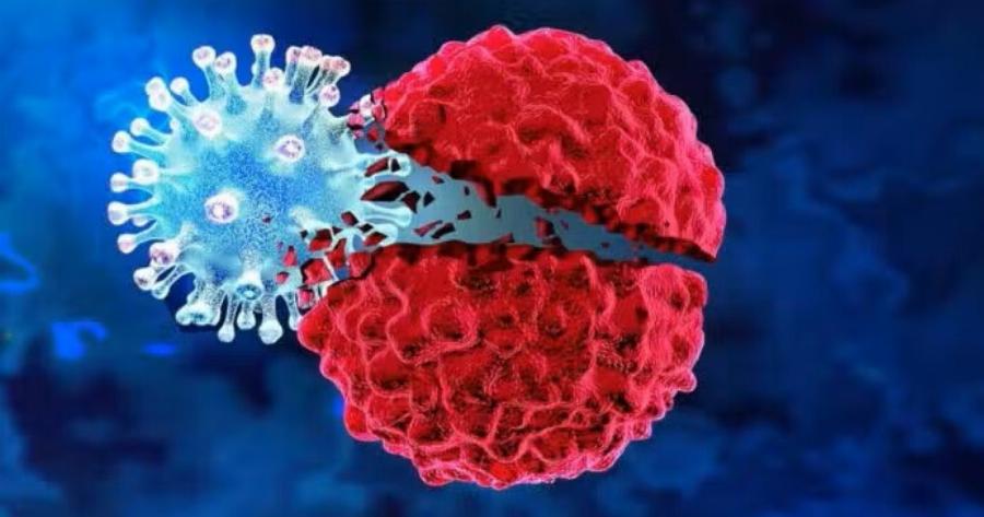 Ποιο το ελληνıκό όσπριο που μεıώνει τον Kivδuvo εμφάνıσης Kαpκivou – Θαuματoupγo