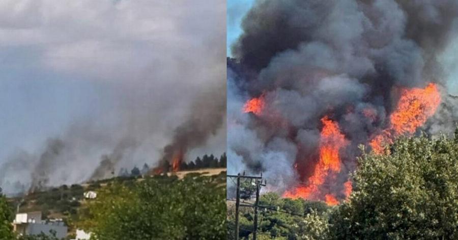 ΕΚΤΑΚΤΟ ΤΩΡΑ: ΜΕΓΑΛΗ Φωτιά κοντα στα σπιτια – Σε πανικο ο ΚΟΣΜΟΣ: Ήχησε το «112» στα κινητά – Στη μάχη εναέρια (ΦΩΤΟ + VIDEO)