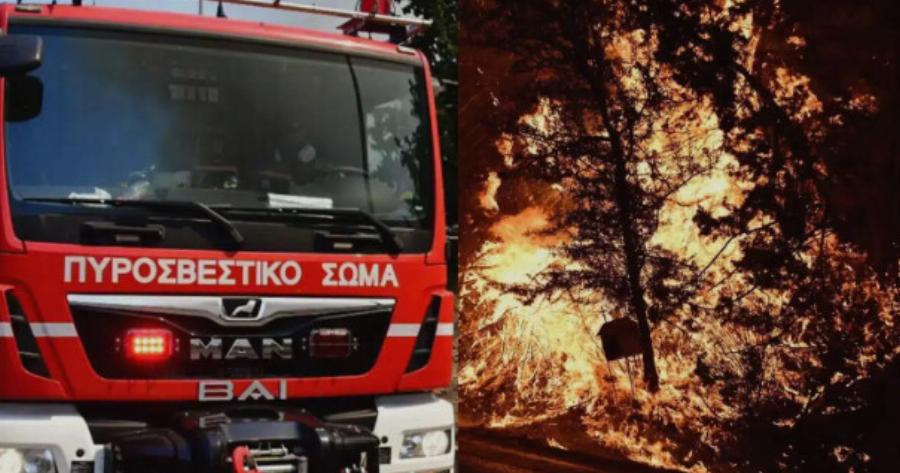 Συνελήφθη 80χρονος για 4 φωτιές στα Γλυκά Νερά – Εντοπίστηκε από βίντεο