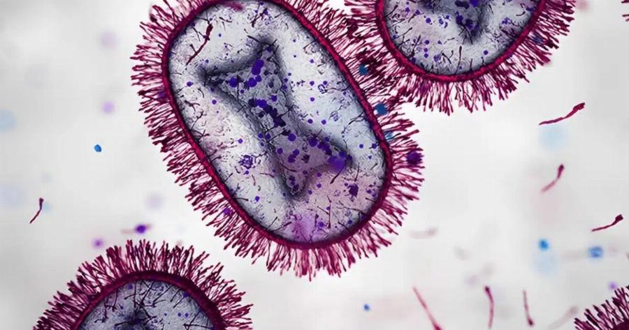 Παγκόσμιος συναγερμός: Εμφανίστηκε νέος ιός στην Κίνα – Φόβοι για πανδημία