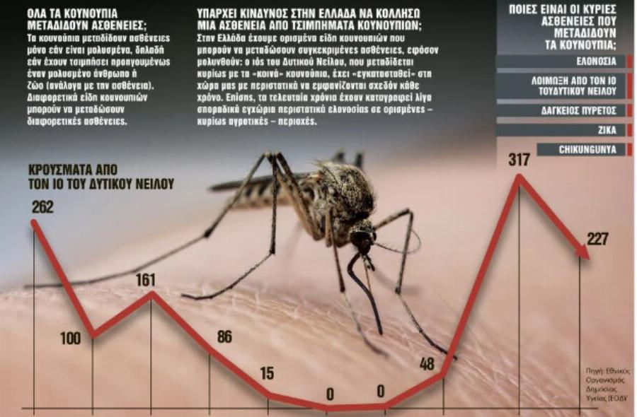 Συναγερμός στην Ελλάδα για τα κουνούπια που μεταδίδουν επικίνδυνα νοσήματα