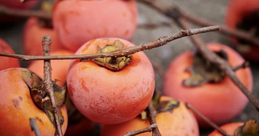 Οι ιδιότητες του λωτού, του γλυκού φθινοπωρινού φρούτου