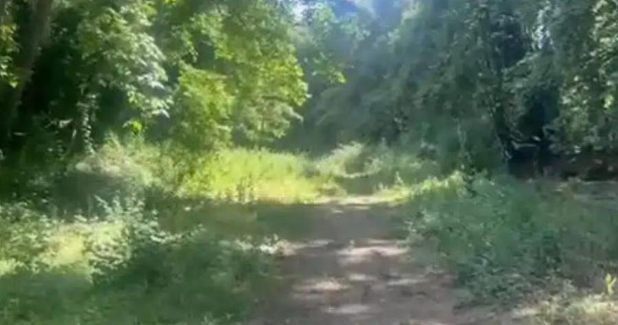 Θεσσαλονίκη: «Μόλις την βρήκαν ζήτησε νεράκι και παγωτό, όλα πήγαν καλά» – Τι λέει ο πατέρας της 8χρονης που εξαφανίστηκε