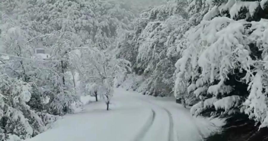 Έρχεται θερμοκρασιακό Σοκ! Χιονοκαταιγίδες και παγωμένοι άνεμοι θα σαρώσουν τη χώρα