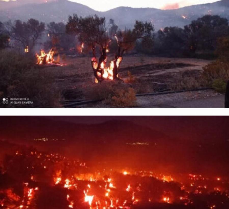 Nύχτα αγωνίας – Μαίνεται ανεξέλεγκτη η φωτιά – Δασοκομάντος από την Αθήνα στο νησί