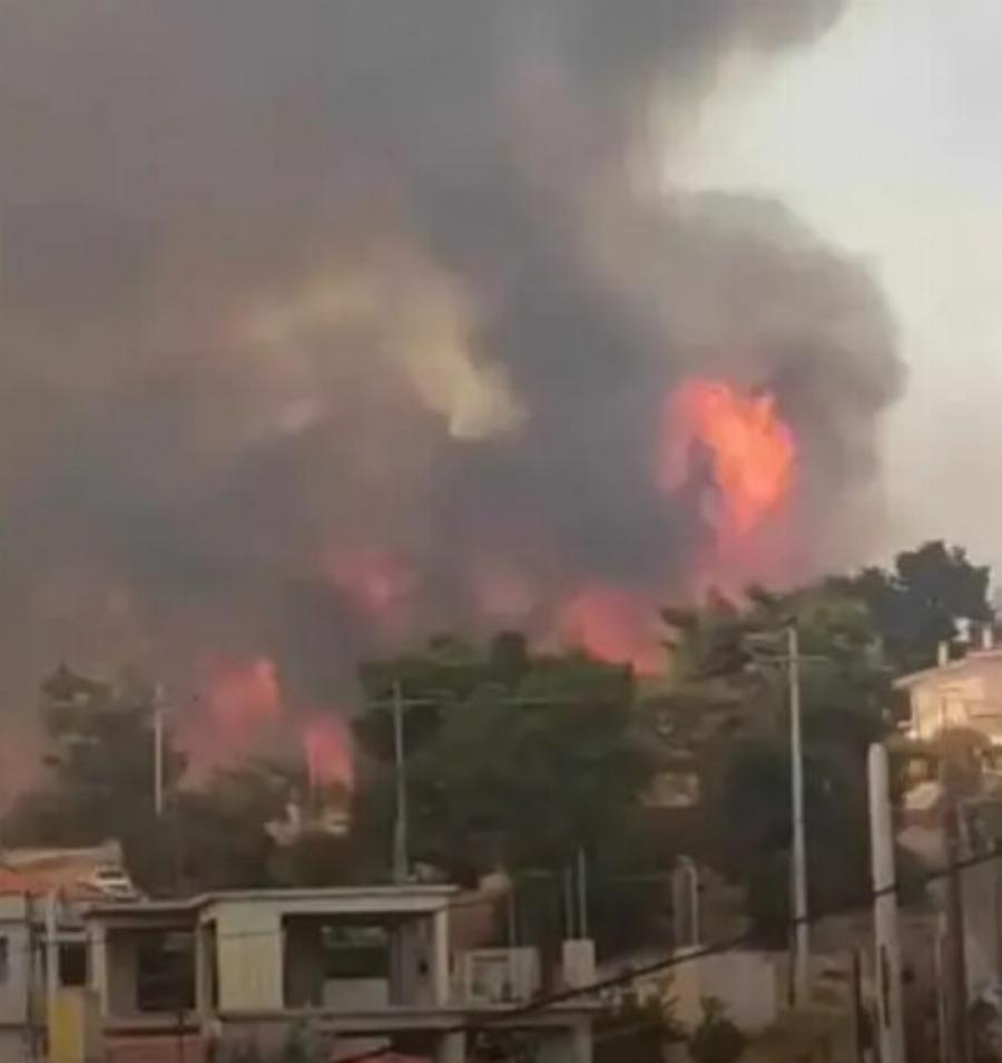 Η φωτιά επεκτείνεται ραγδαία – Σκοτείνιασε ο ουρανός της Αθήνας – Καταστροφή περιουσιών και σπιτιών