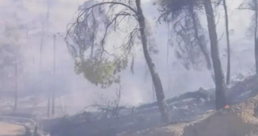 Η φωτιά επεκτείνεται ραγδαία – Σκοτείνιασε ο ουρανός της Αθήνας – Καταστροφή περιουσιών και σπιτιών