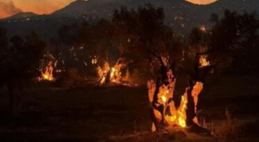 Μεγάλη φωτιά ΤΩΡΑ – Έρχεται δύσκολη νύχτα – Μάχη για να μην μπουν οι φλόγες μέσα σε χωριά