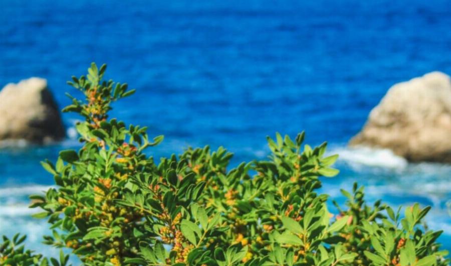 Στον… αέρα το τριήμερο του Αγίου Πνεύματος: «Μίλησαν» τα μερομήνια, «κλείδωσε» ο καιρός, ολική ανατροπή