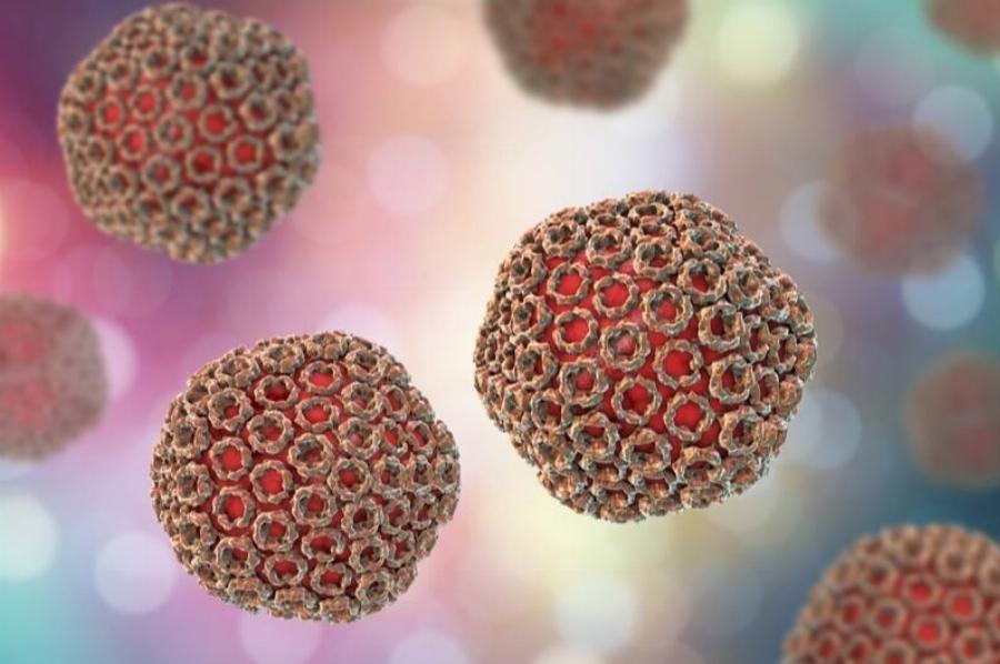 ΕΟΔΥ: Αυξήθηκε η διασπορά του κορονοϊού – Αυτή είναι η νέα παραλλαγή που επικρατεί