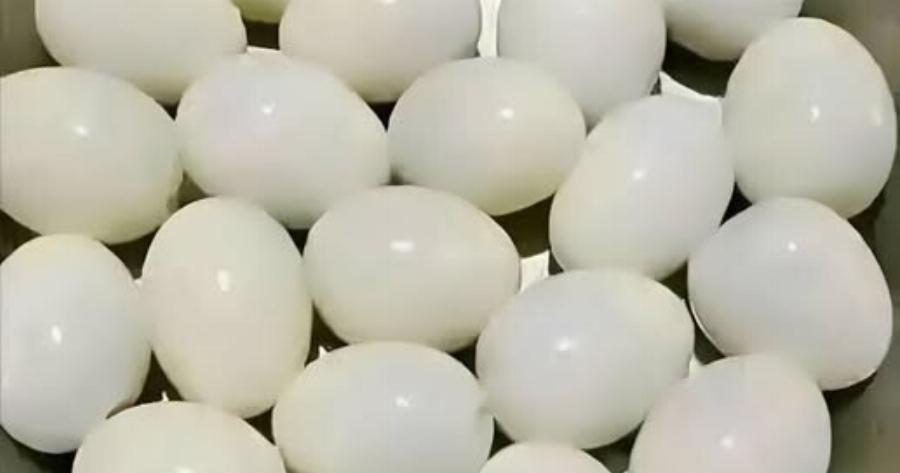 Πόσα αυγά βλέπετε σε αυτή την φωτογραφία;