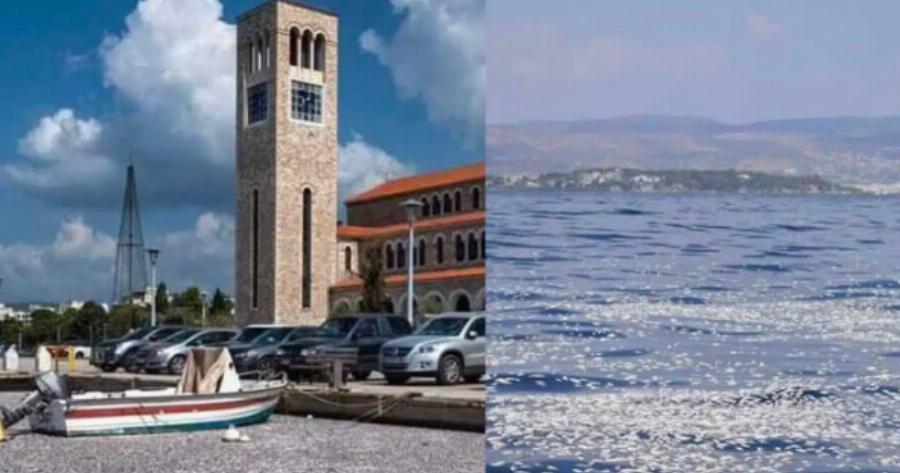Ανακαλείται η Γαλάζια Σημαία από 6 παραλίες λόγω των νεκρών ψαριών