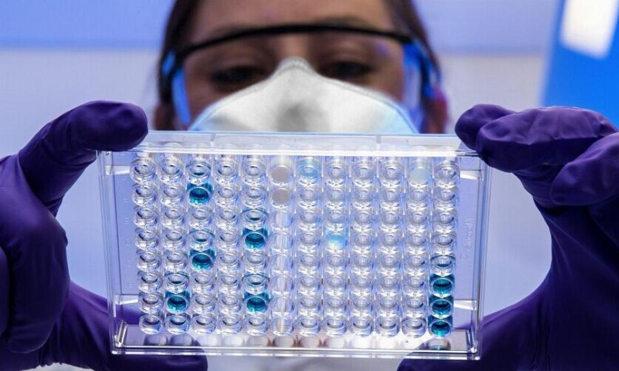 Άσχημα τα νέα: Πρώτος νεκρός από τον νέο ιό Alaskapox