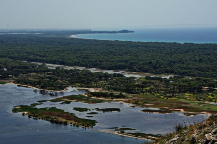 Πύρινη κόλαση μέσα στον Νοέμβριο – Πού έχει πιάσει φωτιά