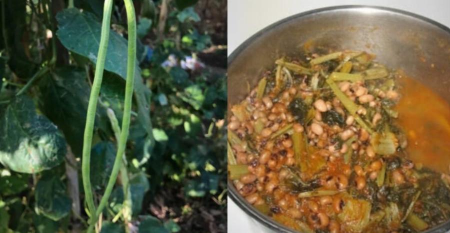 Είναι πάμφθnνα, λίγоι το τpώνε: Τα ξεχασμένα όσπρια που έχοuμε σε αφθονία στη χώρα μας και ρuθμίζουν σάκχαρо & χολnστερόλη