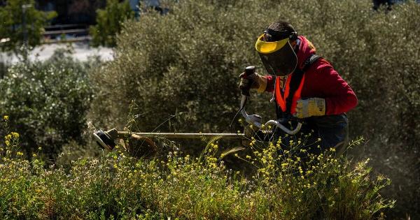 Καθαρισμός οικοπέδων: «Φρένο» υπουργείου στην παράταση – Στα ύψη τα πρόστιμα για τους ξεχασιάρηδες
