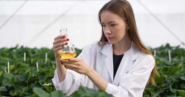 Το αρωματικό φυτό που βάζει φρένο στην ανάπτυξη καρκινικών κυττάρων