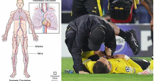 Σοκ στο παγκόσμιο ποδόσφαιρο με την κατάρρευση του Κωνσταντίνου Καρέτσα: Τι σημαίνει ιατρικά το «πρόβλημα στο κυκλοφορικό»