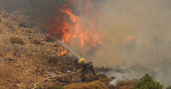 EKTAKTO: Νέα μεγάλη φωτιά τώρα στη χώρα μας – Σηκώθηκαν εναέρια μέσα