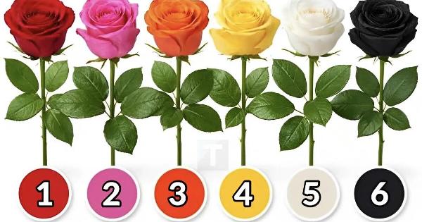 Διάλεξε ένα τριαντάφυλλο και ανακάλυψε τι είδους γυναίκα είσαι