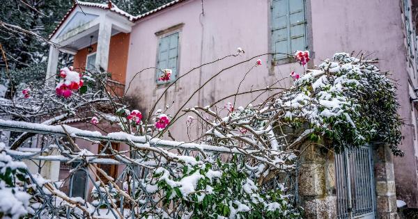 «Μίλησαν» τα Μερομήνια: Χιόνια μέσα στον Μάρτιο – Θα πνιγούν στο χιόνι