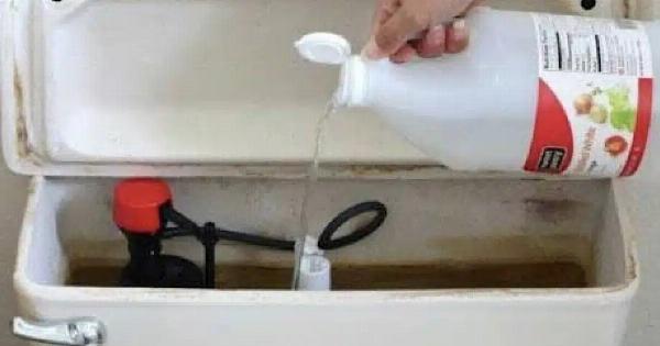 Ρίξτε ξύδι στο καζανάκι της τουαλέτας και θα εκπλαγείτε – Δεν μας τα λέει κανείς αυτά