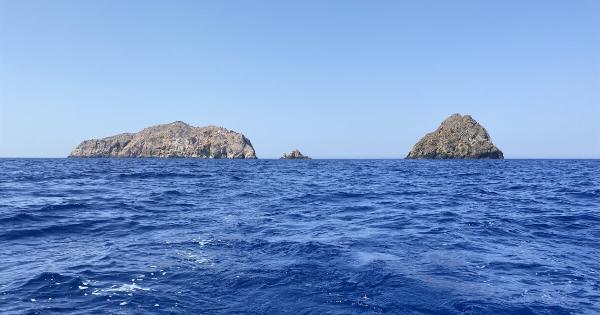Προειδοποίηση WWF προς Έλληνες ψαράδες και καταναλωτές: Μην φάτε αυτό το ψάρι