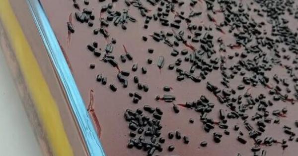 Νηστίσιμη πάστα ταψιού με σοκολάτα και πορτοκάλι: Εύκολη συνταγή