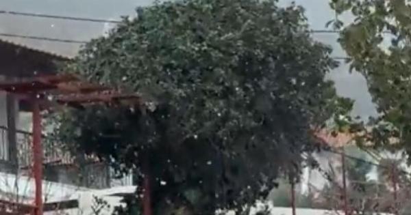 Τώρα: Ξεκίνησε να χιονίζει – Δείτε που και βίντεο