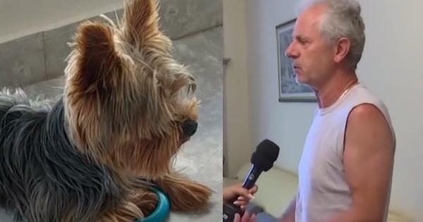 Βριλήσσια: « Τι να την κάνω την σύγγνωμη; Εμένα έφυγε το ζωάκι μου; Έφυγε» λέει ο 66χρονος – Τι υποστήριξε η ιδιοκτήτρια του μεγάλου σκυλιού