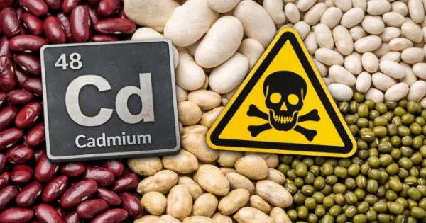 Ανακαλούνται φασόλια με τοξικό κάδμιο σε συγκέντρωση 160% υψηλότερη από το όριο