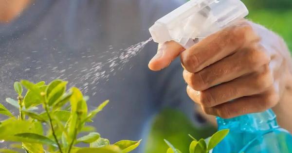 10 από τα καλύτερα κόλπα κηπουρικής που οι περισσότεροι δεν γνωρίζουν