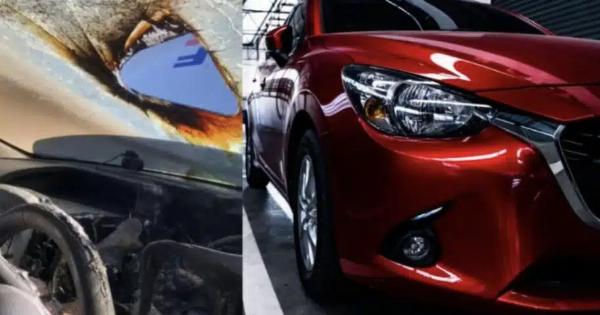 Ούτε που πήγαινε το μυαλό σας – Τι δεν πρέπει να αφήνετε ποτέ στο αυτοκίνητο όταν έχει καύσωνα