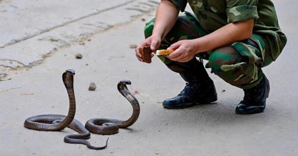 Ένας στρατιώτης σχεδόν κάθε μέρα τάιζε μικρά φιδάκια για διασκέδαση και ήταν σίγουρος ότι όλο αυτό ήταν ένα αθώο παιχνίδι. Όμως ένα πρωί, στην είσοδο της σκηνής του, τον περίμενε ένας τέτοιος τρόμος για τον οποίο δεν ήταν καθόλου προετοιμασμένος