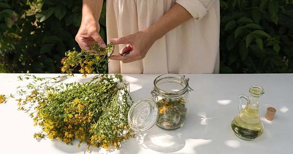 Δεν το λένε πουθενά: Το αντικαταθλιπτικό βότανο του Αγίου Ιωάννη που είναι βάλσαμο για τη διάθεση