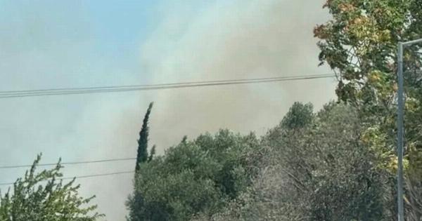 Έκτακτο: Νέα φωτιά τώρα στην Αττική