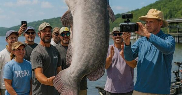 Οι ψαράδες έβγαλαν από τη θάλασσα ένα Tεpάστιo, παράξενο ψάρι κι όταν του άνοιξαν την κοιλιά, βρήκαν κάτι Aπiστεuτo