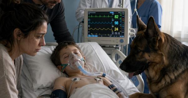 Οι γιατροί είχαν προετοιμάσει την οικογένεια να πουν το τελευταίο αντίο — μέχρι που ο σκύλος του αγοριού μπήκε στη μονάδα εντατικής θεραπείας και συνέβη κάτι εντελώς απρόσμενο…