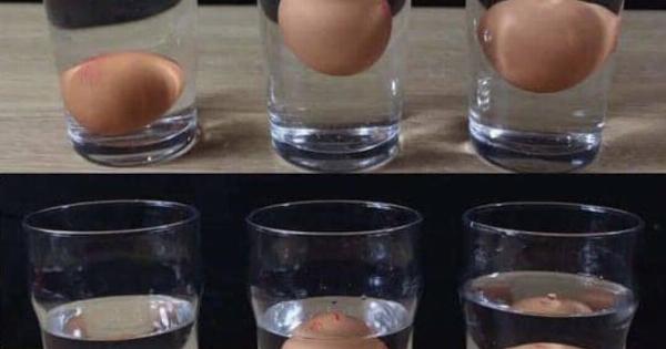 Πώς να καταλάβεις αν ένα αυγό είναι φρέσκο (εύκολα & σίγουρα)