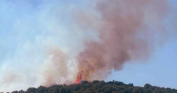 Νέα φωτιά τώρα στη χώρα μας – Ισχυρές πυροσβεστικές δυνάμεις στο σημείο