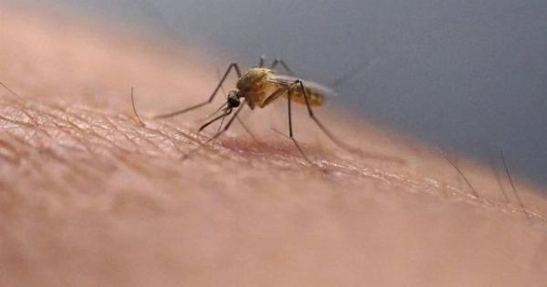 EKTAKTO: ΠΑΓΚΟΣΜΙΟΣ ΣYNAΓEPMOΣ ΓΙΑ ΝΕΟ IO – ΠΩΣ ΜΕΤΑΔΙΔΕΤΑΙ