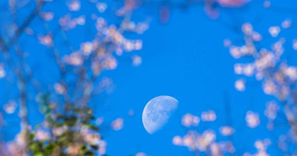 Πρωτομαγιά με Πανσέληνο: Τα ζώδια που ευνοούνται και εκείνο που πρέπει να προσέξει «Φεγγάρι των Λουλουδιών»