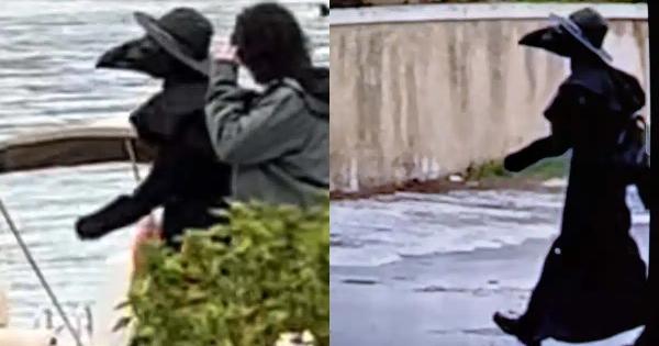 Μυστήριο στο Πόρτο Ράφτη: Παράξενος τύπος κυκλοφορεί με μαύρη στολή και… ράμφος