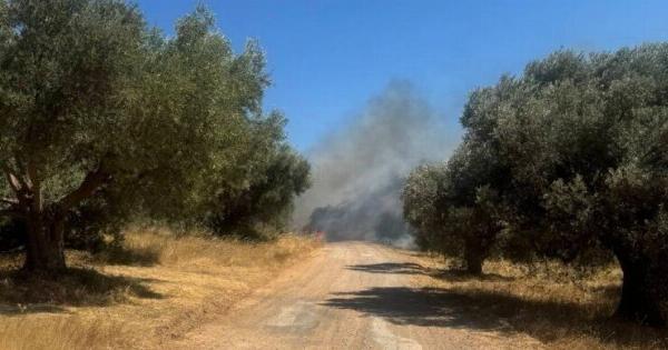 Τραγωδία τώρα στη φωτιά: Έχουμε νεκρό