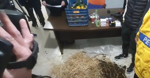 Αγρότες μπούκαραν σε γραφεία γαλάζιων βουλευτών αφήνοντας σανό, κοπριά και πορτοκάλια