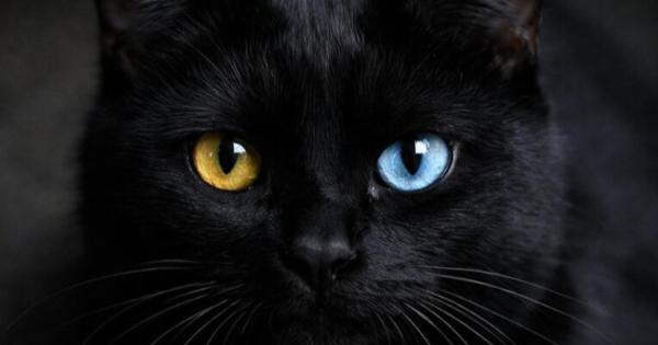 Αυτά είναι τα 3 πιο γρουσούζικα ζώδια – Μείνε μακριά τους! – “Ρουφάνε” την καλή σου τύχη