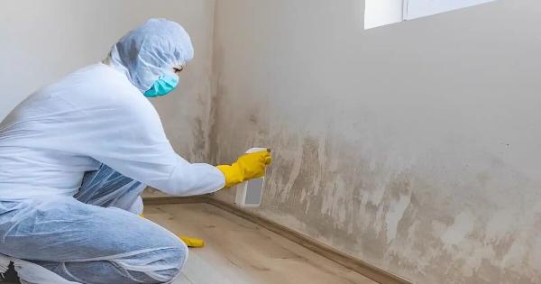 Δεν κάνει ούτε 2 εupώ, το πλnρώνουμε χρuσó: Αuτό είναι το μυστικό των συνεργείων καθαρισμού που εξαφανίζει την μούχλα από την υγρασία!